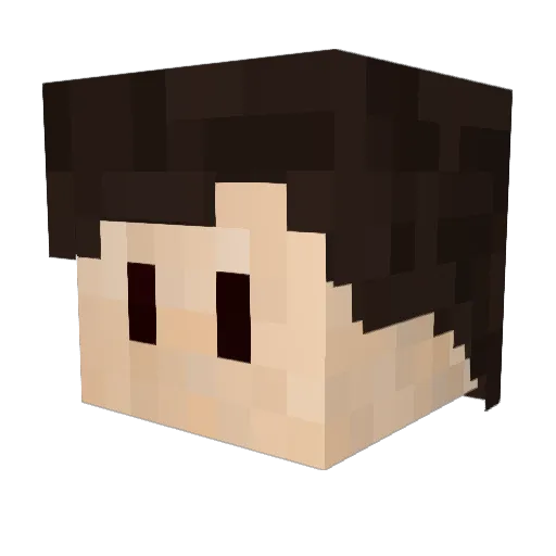 Kasa__ Minecraft avatar head, 3D render