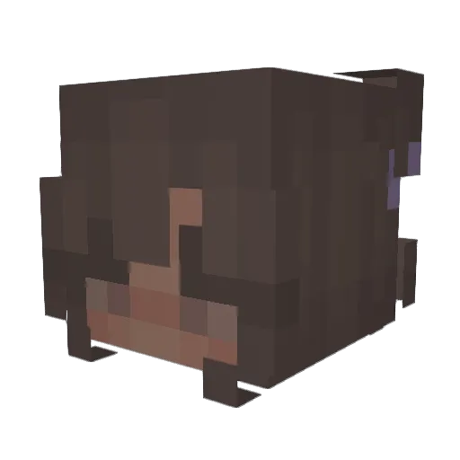 Kasalae Minecraft avatar head, 3D render
