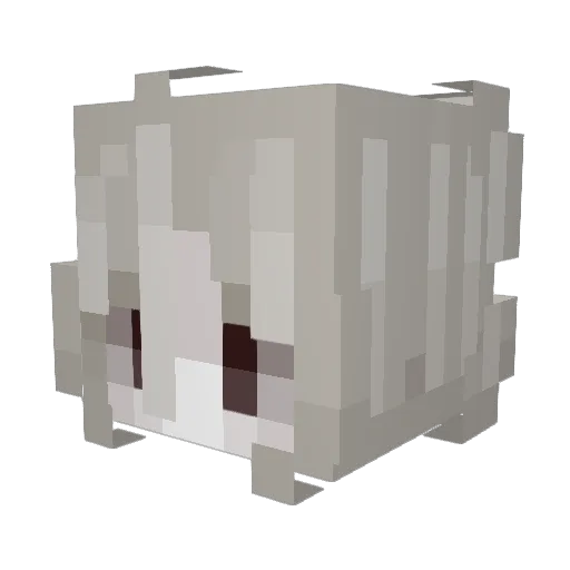 Kasamakung Minecraft avatar head, 3D render