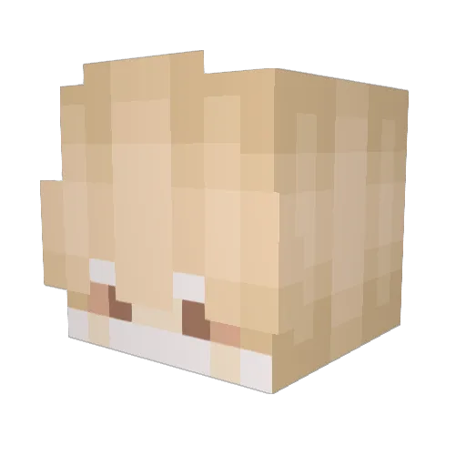 Kasandr Minecraft avatar head, 3D render