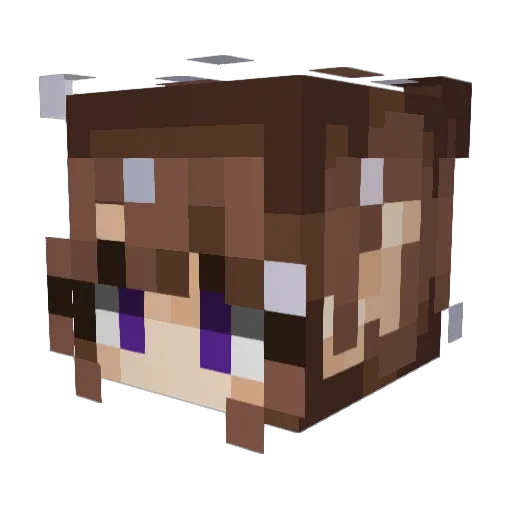 Kaseihaya Minecraft avatar head, 3D render