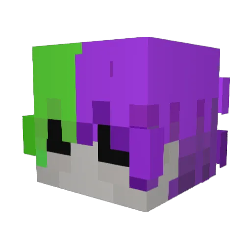 KashMonke Minecraft avatar head, 3D render
