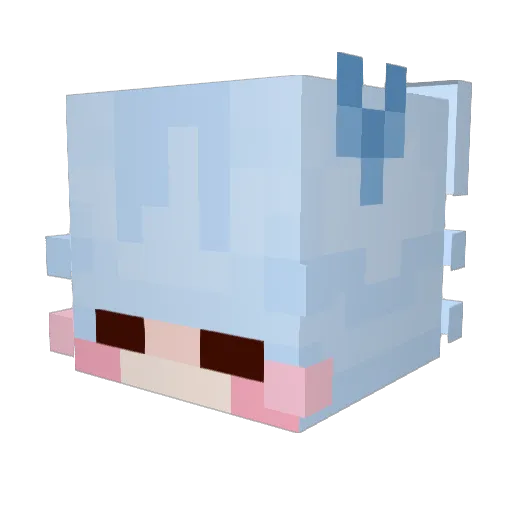 Kashumir Minecraft avatar head, 3D render