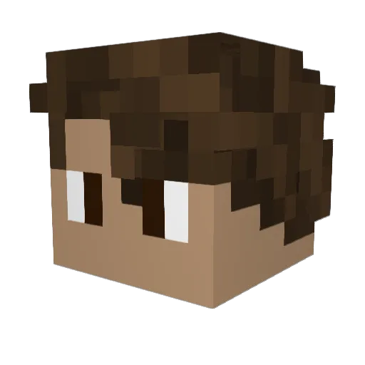 Kashvan20 Minecraft avatar head, 3D render