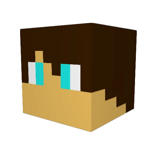 Kasimir20 Minecraft avatar head, 3D render