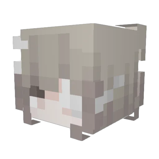Kasiy Minecraft avatar head, 3D render