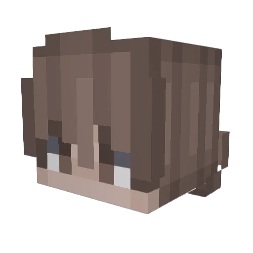 Kaskadereguler Minecraft avatar head, 3D render
