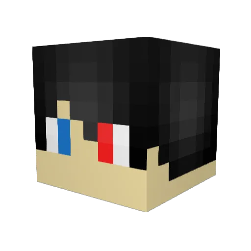 Kasnudl Minecraft avatar head, 3D render
