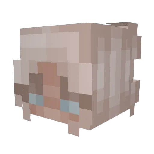Kass101 Minecraft avatar head, 3D render