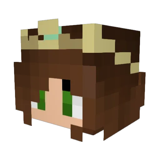 Kassa1p Minecraft avatar head, 3D render