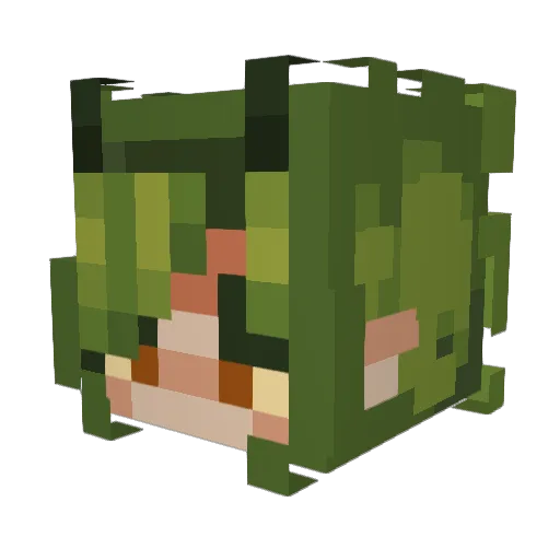 KassandraOG Minecraft avatar head, 3D render