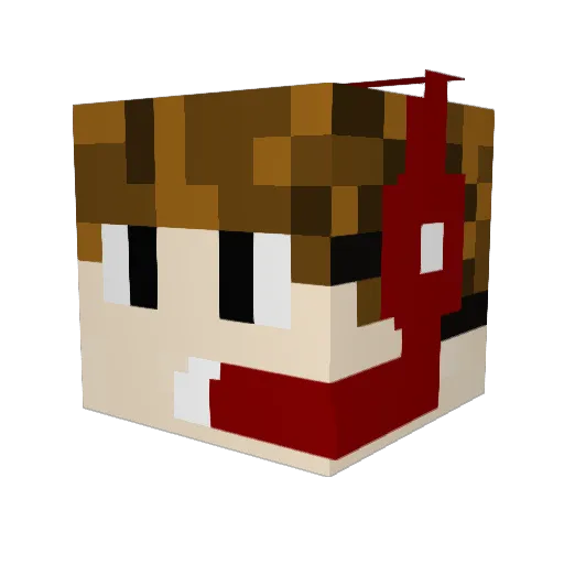 Kassenbeleg Minecraft avatar head, 3D render