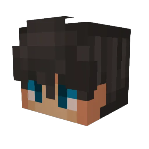 Kassenbon_HD Minecraft avatar head, 3D render