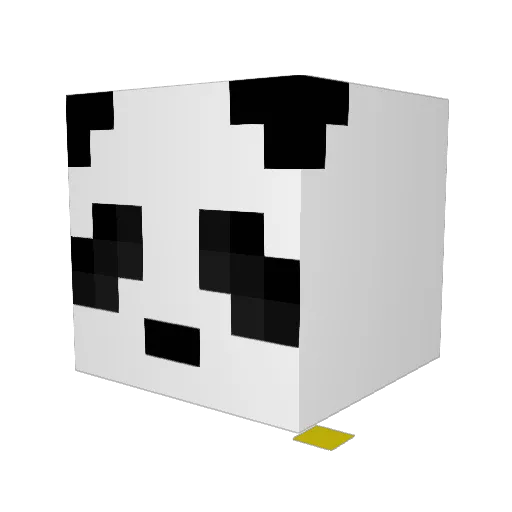 Kassette Minecraft avatar head, 3D render