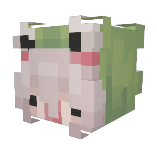 Kassuga Minecraft avatar head, 3D render