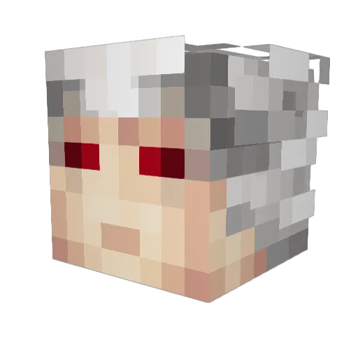 KasteWA Minecraft avatar head, 3D render