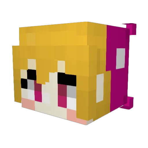 Kasterakun Minecraft avatar head, 3D render