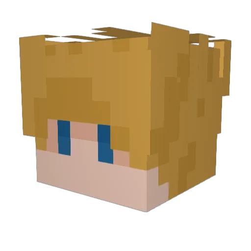 KastiMinionek_ Minecraft avatar head, 3D render