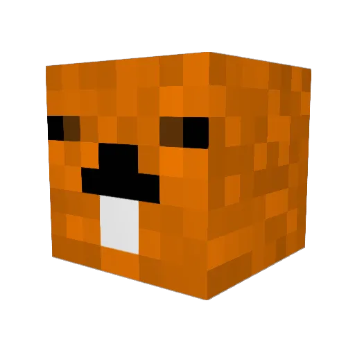 Kastor_Krafteur Minecraft avatar head, 3D render