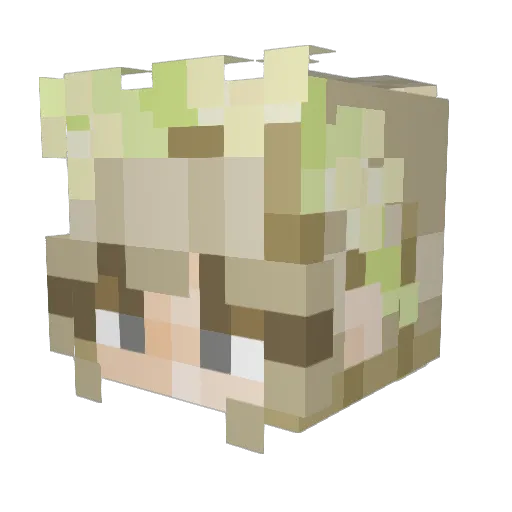 Kaszmina Minecraft avatar head, 3D render