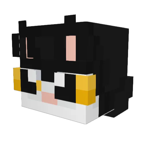 Kat2Kat Minecraft avatar head, 3D render