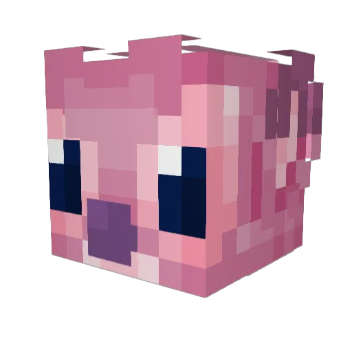 Kat3r_2 Minecraft avatar head, 3D render