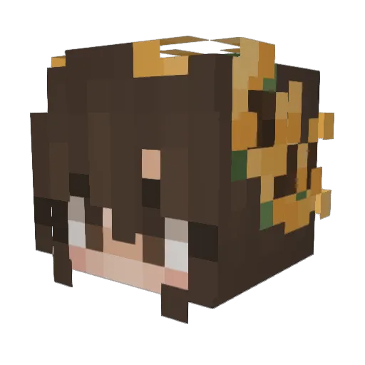 KatAttack11 Minecraft avatar head, 3D render