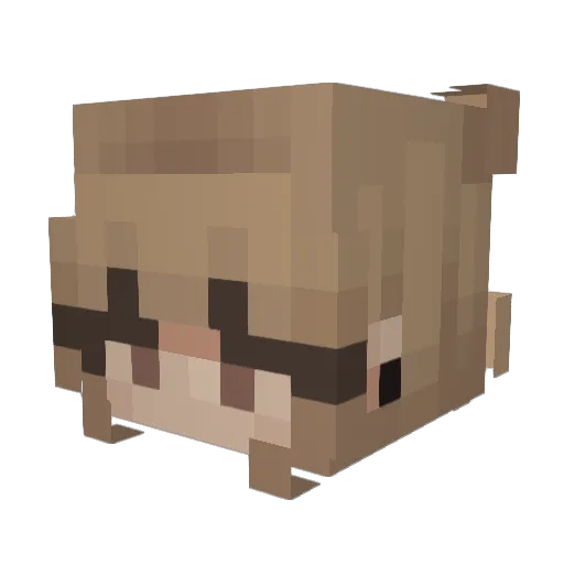 KatKaleidoscope Minecraft avatar head, 3D render