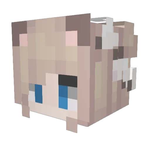 KatKat2 Minecraft avatar head, 3D render