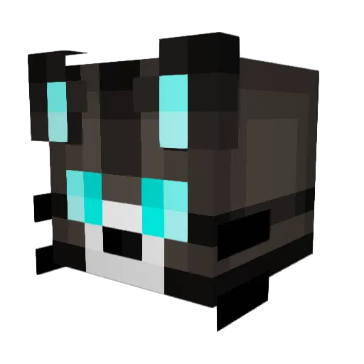 KatKyle Minecraft avatar head, 3D render