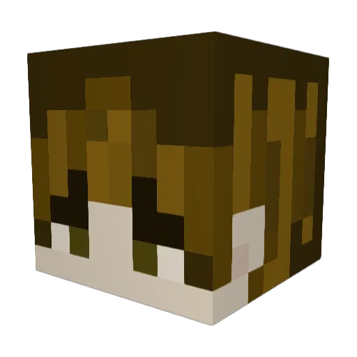 Kat_aint1t Minecraft avatar head, 3D render