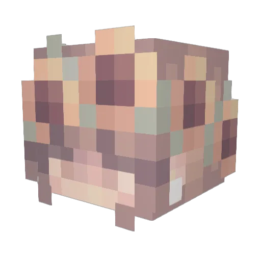 Kat_static Minecraft avatar head, 3D render
