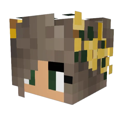 Kata56 Minecraft avatar head, 3D render