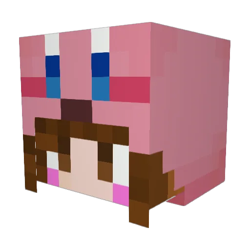 Katablue Minecraft avatar head, 3D render