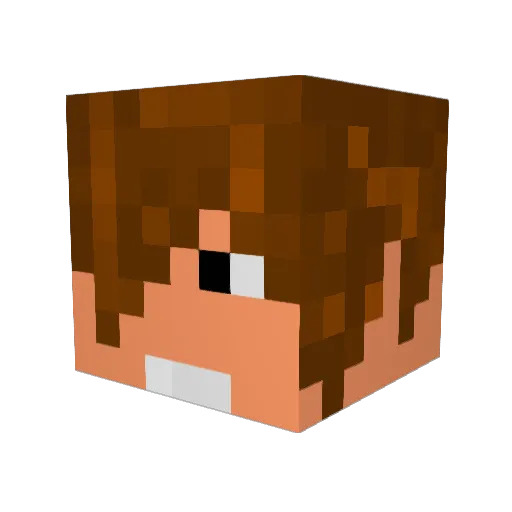 Katakid13 Minecraft avatar head, 3D render