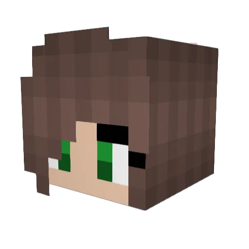 Katalsomae Minecraft avatar head, 3D render