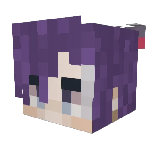 KatamariFan23 Minecraft avatar head, 3D render