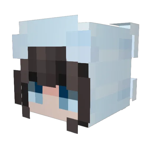 Katame6 Minecraft avatar head, 3D render