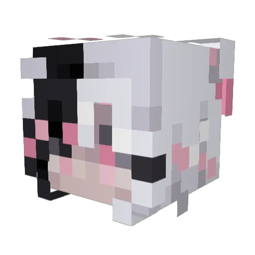 Katanixxx Minecraft avatar head, 3D render