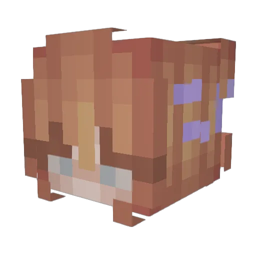 Kataronious Minecraft avatar head, 3D render