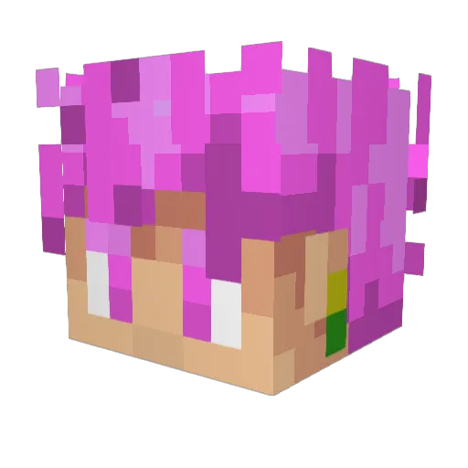 Katayon1 Minecraft avatar head, 3D render