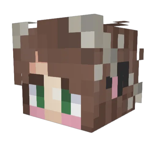 Katclaw77 Minecraft avatar head, 3D render