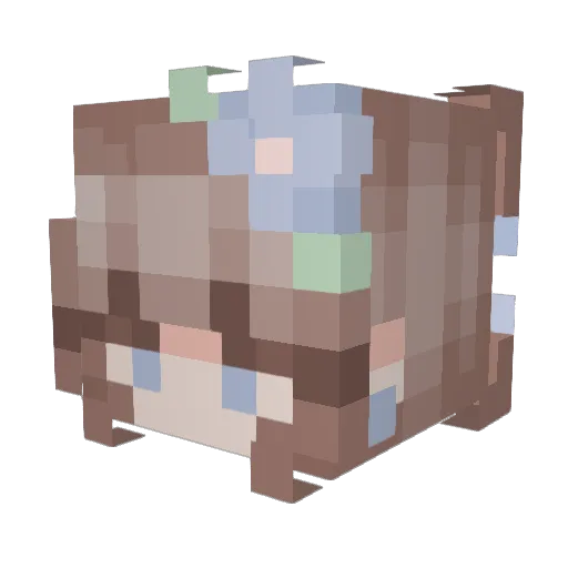 Kate3541 Minecraft avatar head, 3D render