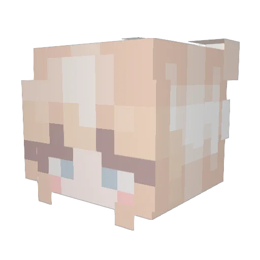 Kate550 Minecraft avatar head, 3D render