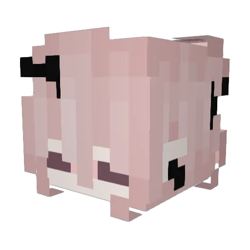 Katelynn_S Minecraft avatar head, 3D render