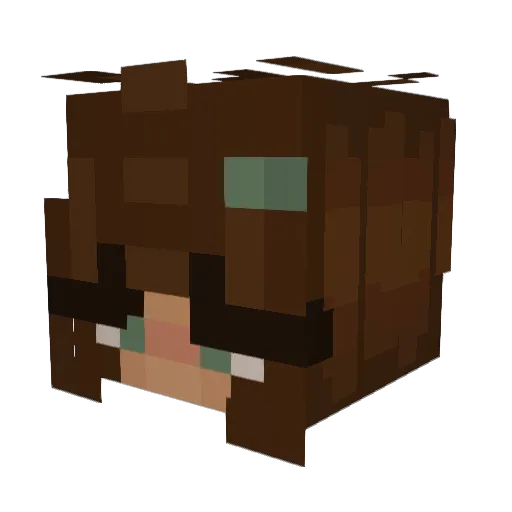 Katemamate Minecraft avatar head, 3D render