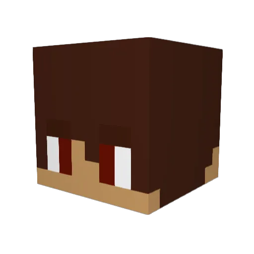 Kater311 Minecraft avatar head, 3D render