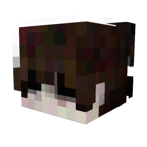 KaterCW Minecraft avatar head, 3D render