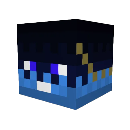 KaterFindus Minecraft avatar head, 3D render