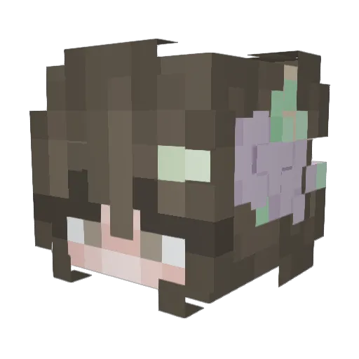 Kateranian Minecraft avatar head, 3D render